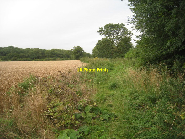 Photo 6"x4" Footpath to Newton Newton\/TF0436 c2012