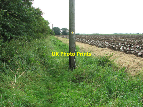 Photo 6"x4" Footpath marker on telegraph pole, Watlington Watlington\/TF6110 c2012