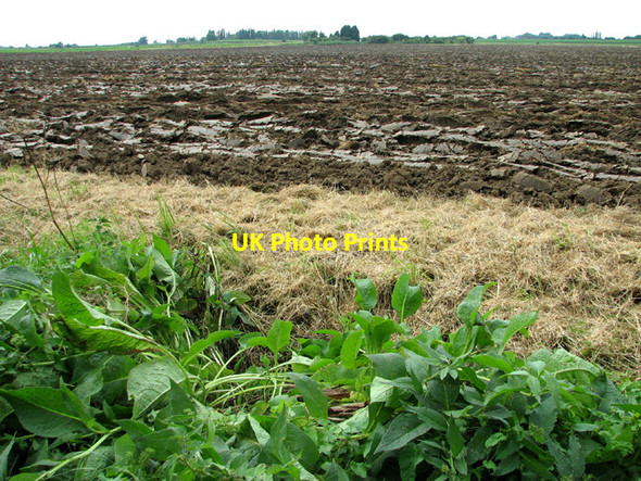 Photo 6"x4" Ploughed field north of Bell's Drove Watlington\/TF6110 c2012