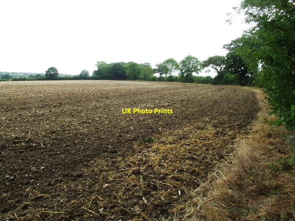 Photo 6"x4" Field And Footpath Winston\/TM1861 c2012