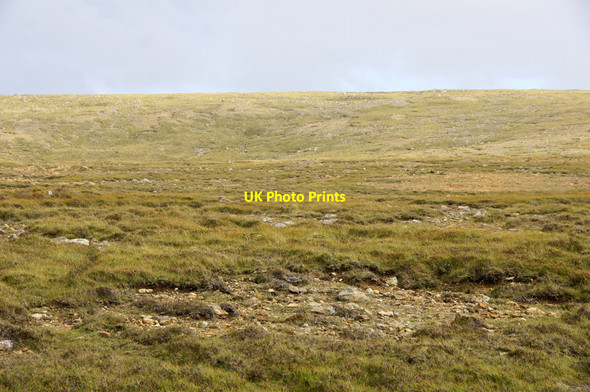 Photo 6"x4" Serpentine heath on the north-west slopes of Sobul Mailand c2012