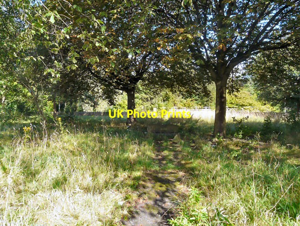 Photo 6"x4" Burial ground at Portwood Stockport\/SJ8990 c2012