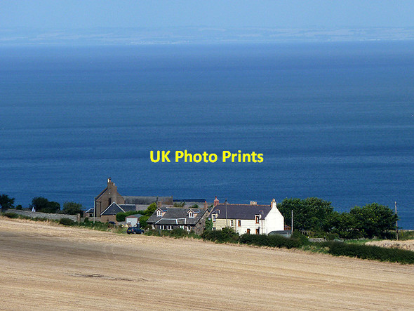 Photo 6"x4" Old Cambus West Mains Old Cambus c2012