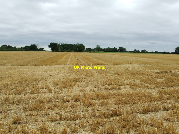 Photo 6"x4" Harvested Field Pettaugh c2012
