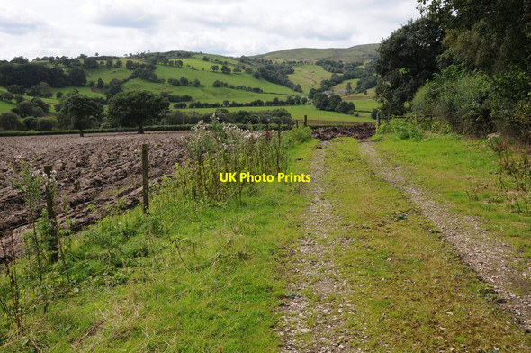 Photo 6"x4" Farmland above Afon Ceirw Ty-nant\/SH9944 c2012