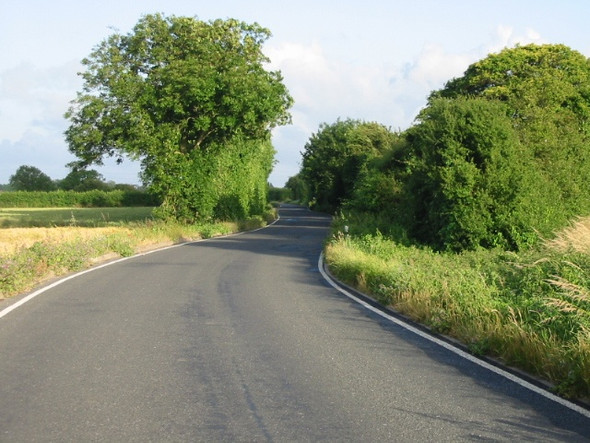 Photo 6"x4" Looking SE along Drainless Road Gore\/TR3055 c2008