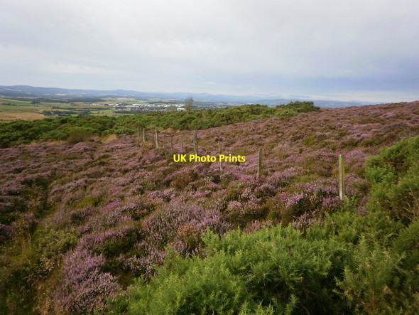 Photo 6"x4" Brimmond Hill Country Park Chapel of Stoneywood c2012