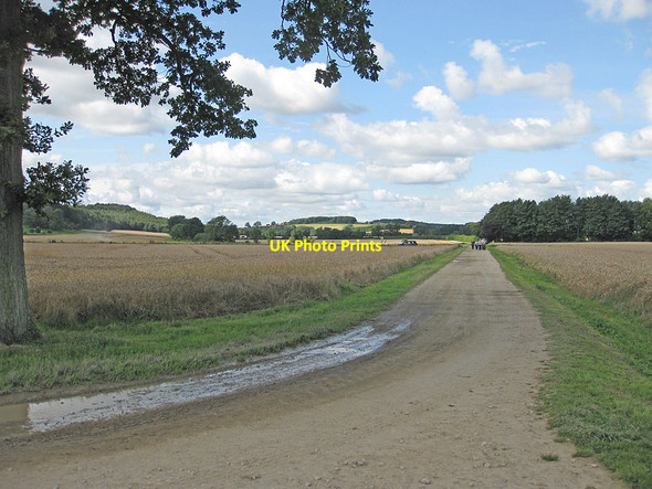 Photo 6"x4" Walkers approaching Hovingham Hovingham c2012