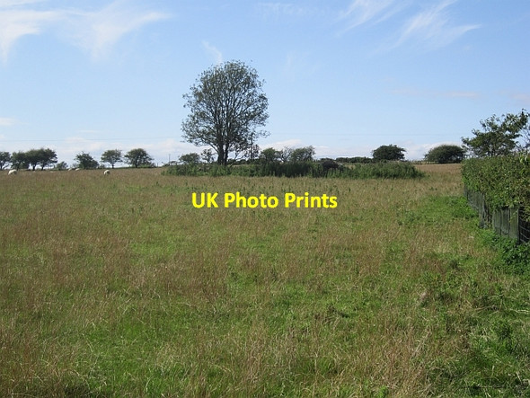 Photo 6"x4" Field, Lathones Lathones c2012