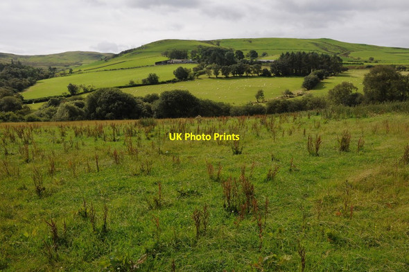 Photo 6"x4" Farmland near Gellioedd Llangwm\/SH9644 c2012