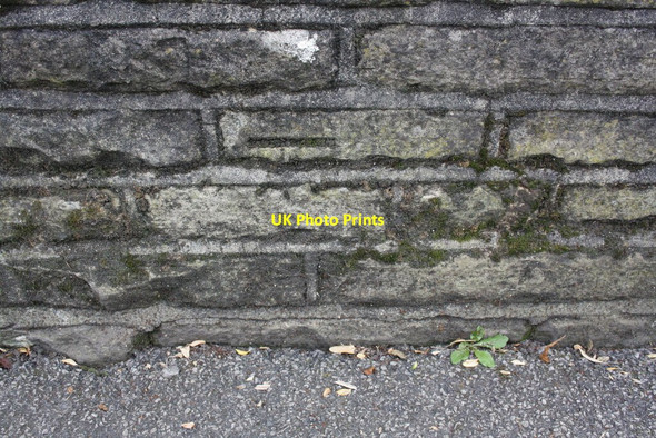 Photo 6"x4" Benchmark on Malsis Road wall near Lund Park entrance Keighley c2012
