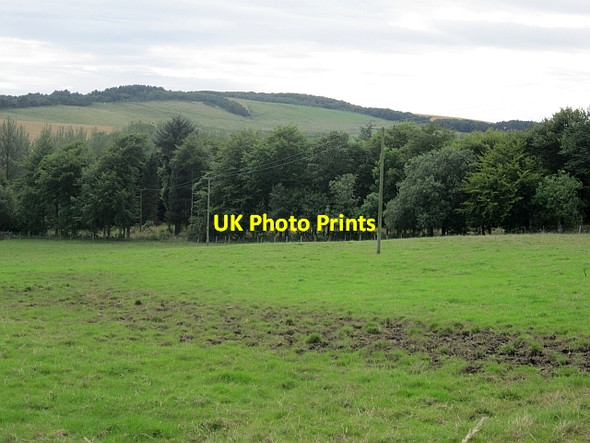 Photo 6"x4" Field by Lathallan Mill Largoward c2012