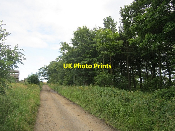 Photo 6"x4" Farm road, Kilbrackmont Largoward c2012