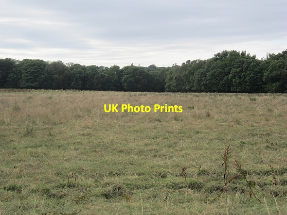 Photo 6"x4" A  Lathallan field Largoward c2012