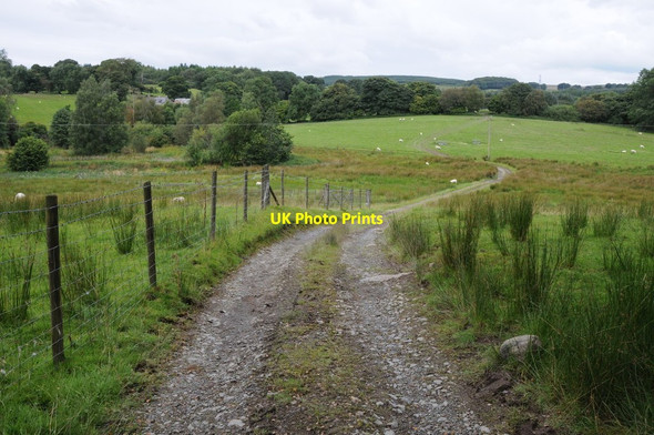 Photo 6"x4" Track to Ty'n-llwyn Bala\/Y Bala c2012