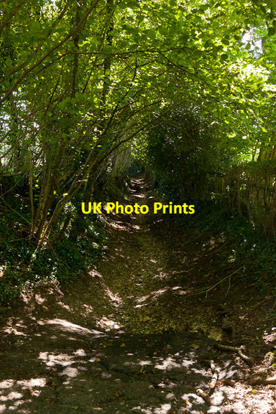 Photo 6"x4" The King's Way south of Belmore Lane Baybridge\/SU5223 c2012