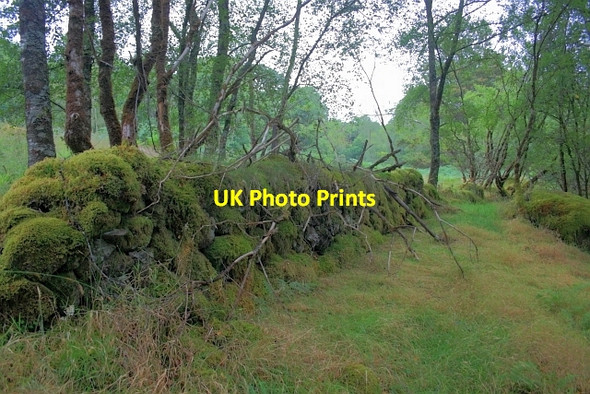 Photo 6"x4" Old Field Boundary, Ariundle Ariundle c2012