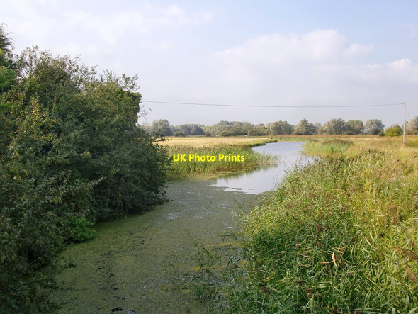 Photo 6"x4" The White Kemp Sewer: view north from near the Woolpack Inn Brookland\/TQ9825 c2012
