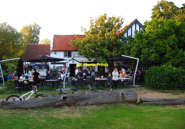 Photo 6"x4" The Cricketers (2), Downside Common, near Cobham Downside\/TQ1058 c2012