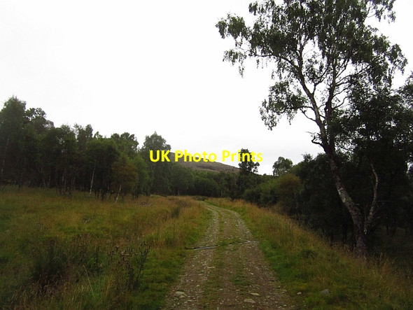 Photo 6"x4" Road in Glen Feardar Thistledae c2012
