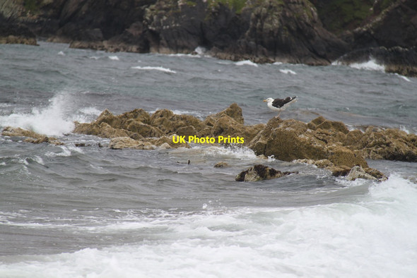 Photo 6"x4" Rocks off the beach Braewick\/HU2478 c2012
