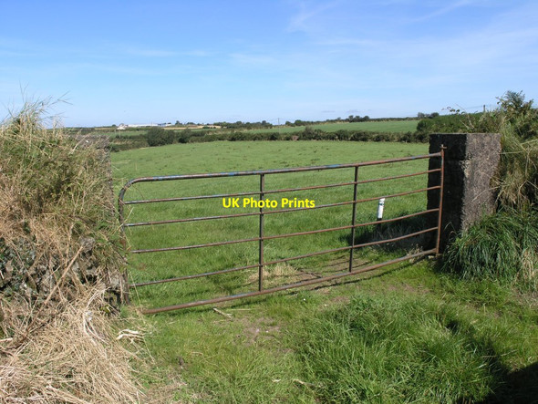 Photo 6"x4" Farm fields near Ballinhassig Ballinhassig c2012