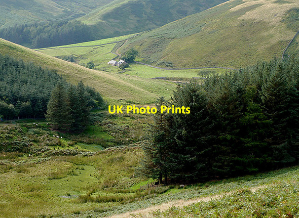 Photo 6"x4" Cheviot Hill Countryside Sourhope c2012