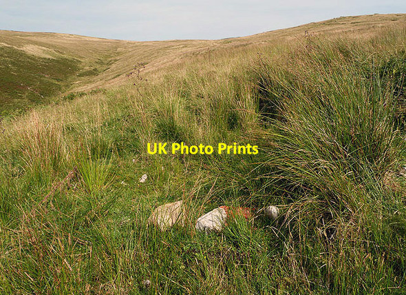 Photo 6"x4" A spring on Auchope Rig Sourhope c2012