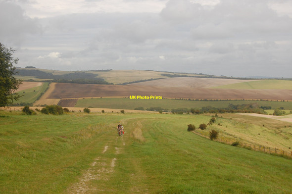 Photo 6"x4" The South Downs Way by Newmarket Plantation Falmer c2012