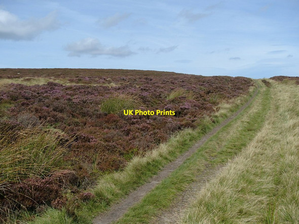 Photo 6"x4" Path on Totley Moor Nether Padley c2012