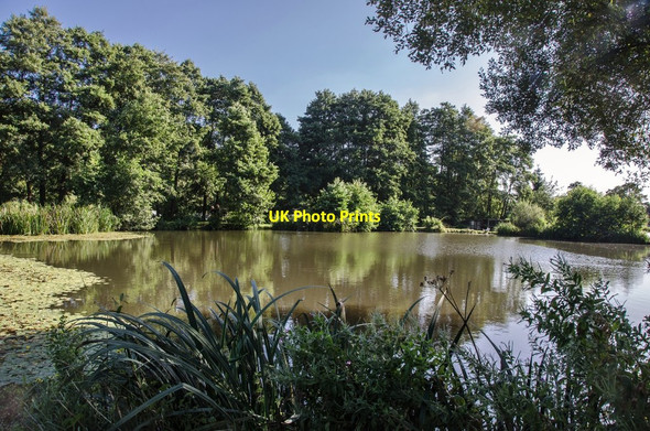 Photo 6"x4" Mangerton Mill Pond, Dorset: Loders c2012