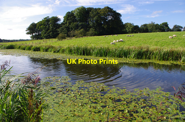 Photo 6"x4" Lancaster Canal Lea Town c2012 P1