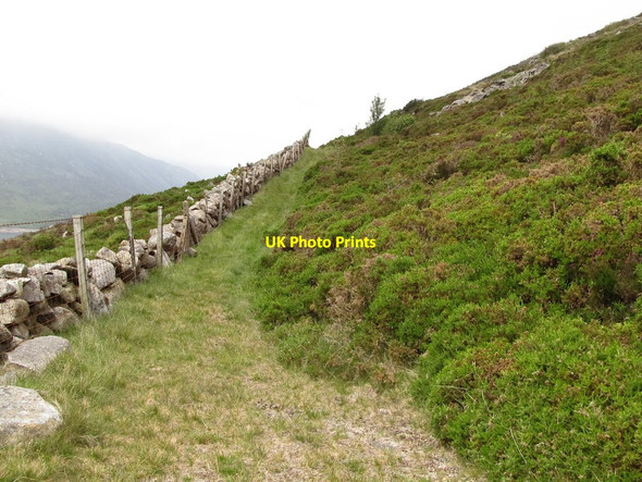 Photo 6"x4" Green lane on the western slope of Moolieve Attical c2011