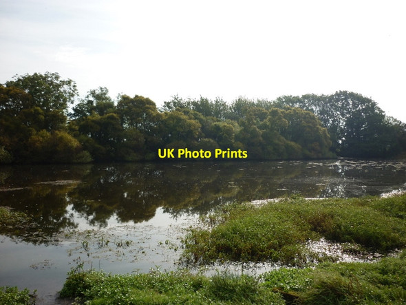 Photo 6"x4" The pond at Salt Coats Salt Coates c2012