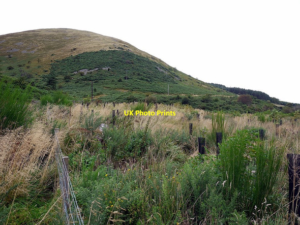 Photo 6"x4" Cresswell Wood below Great Hetha Whitehall\/NT8826 c2012