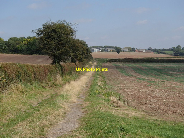 Photo 6"x4" Fields towards Buckshaw Farm Kersall c2012