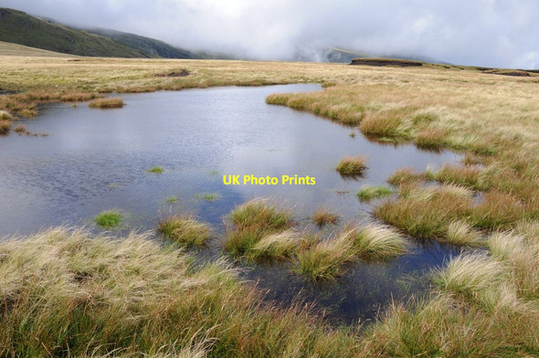 Photo 6"x4" Peat pool on Gledrffordd Gledrffordd c2012