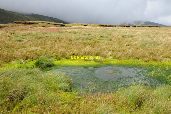 Photo 6"x4" Waterlogged peat Gledrffordd c2012