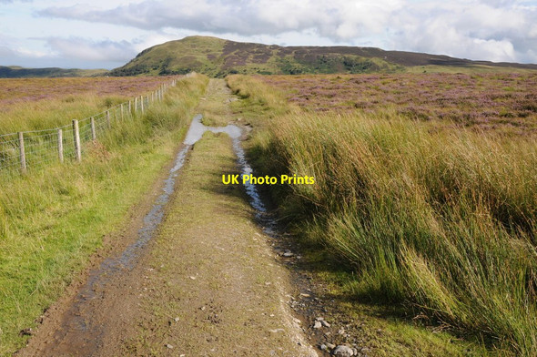 Photo 6"x4" Track below Clogwynyreryr Clogwynyreryr c2012