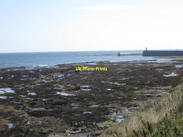 Photo 6"x4" The Tumblers, exposed rocks near Seahouses harbour Seahouses c2012