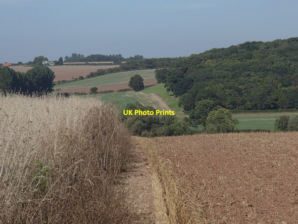 Photo 6"x4" Field by Parkhill Plantation Kersall c2012