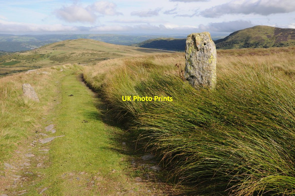 Photo 6"x4" Standing stone beside the track Clogwynyreryr c2012