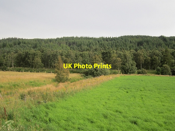 Photo 6"x4" Riverside pasture Inver\/NO2393 c2012