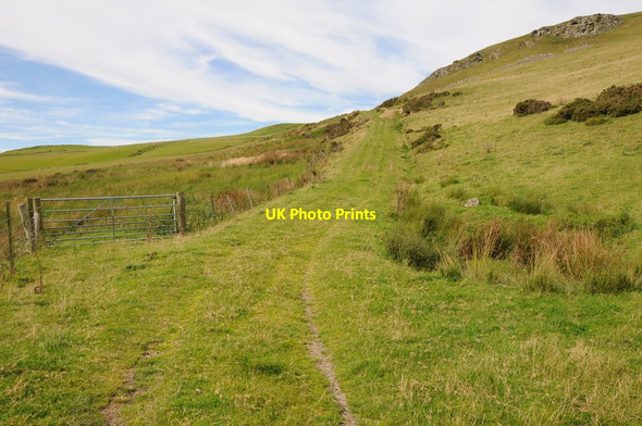 Photo 6"x4" Track on Gelli Hill Camnant\/SO0956 c2012