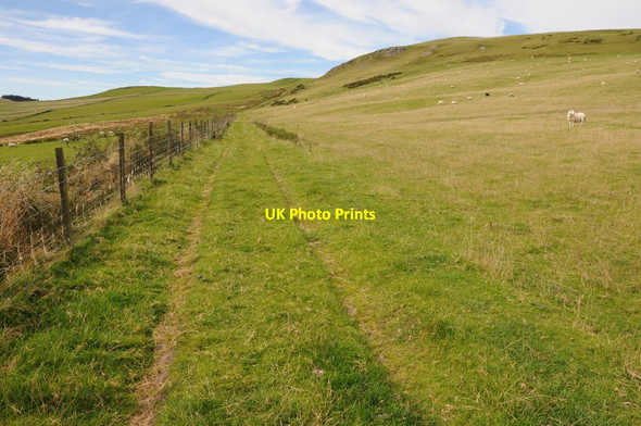 Photo 6"x4" Grazing land on Gelli Hill Camnant\/SO0956 c2012