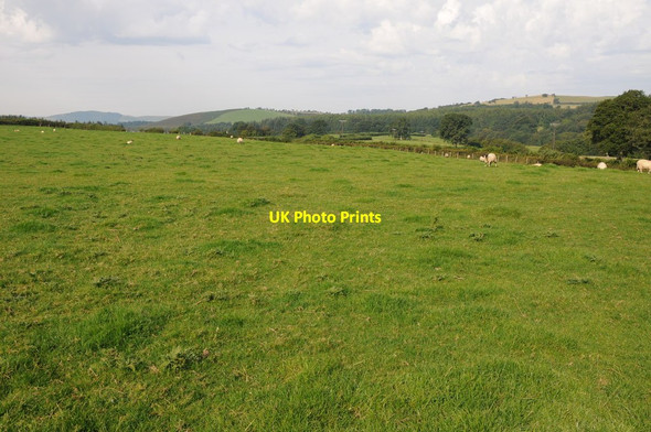 Photo 6"x4" Farmland north of Llanfechan Pentre-llwyn-llwyd c2012