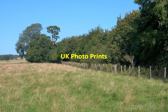 Photo 6"x4" Jubilee Plantation, Howl Dale Pockley c2012