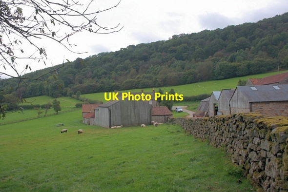 Photo 6"x4" Sleightholme Dale Fadmoor c2012