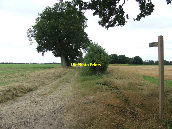 Photo 6"x4" Footpath and Sign Wilby\/TM0389 c2012