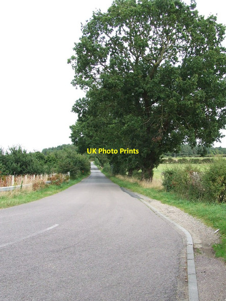 Photo 6"x4" Country Road East Harling c2012